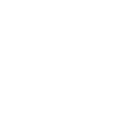 About Values Icon